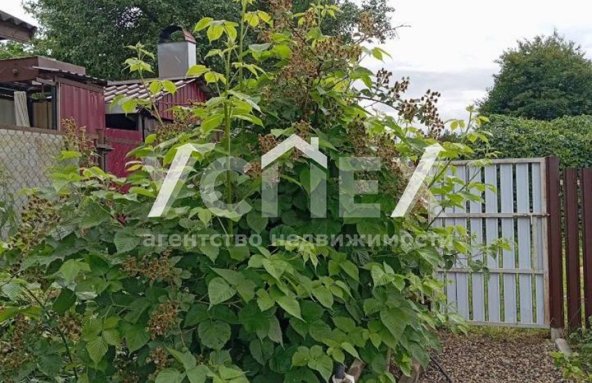 Продажа Дачи СТ Дружба Кольчугинский р-н