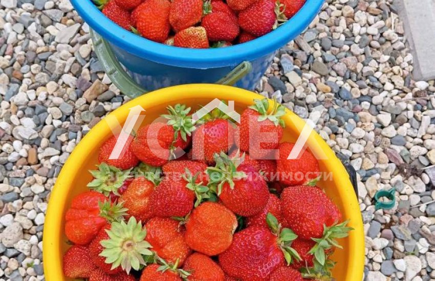 Продажа Дачи СТ Дружба Кольчугинский р-н