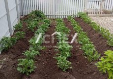 Продажа Дачи СТ Дружба Кольчугинский р-н
