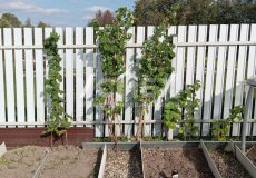 Продажа Дачи СТ Дружба Кольчугинский р-н