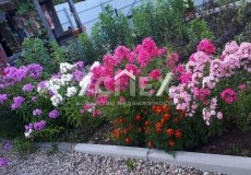 Продажа Дачи СТ Дружба Кольчугинский р-н